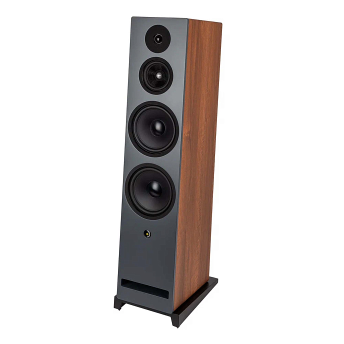 Напольная акустика Davis Acoustics Krypton N 10 Classic Walnut - рис.3