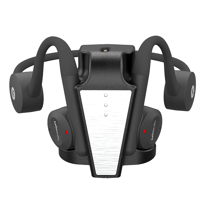 Беспроводные наушники Adidas Z.N.E. 01 ANC TWS Night Grey + Kaibo Audio Flex Black - рис.14