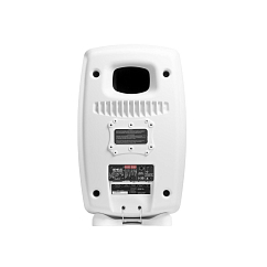 Студийный монитор Genelec 8361AW