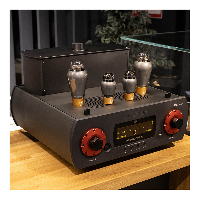 Усилитель для наушников Auris Headonia 300B Black - рис.6