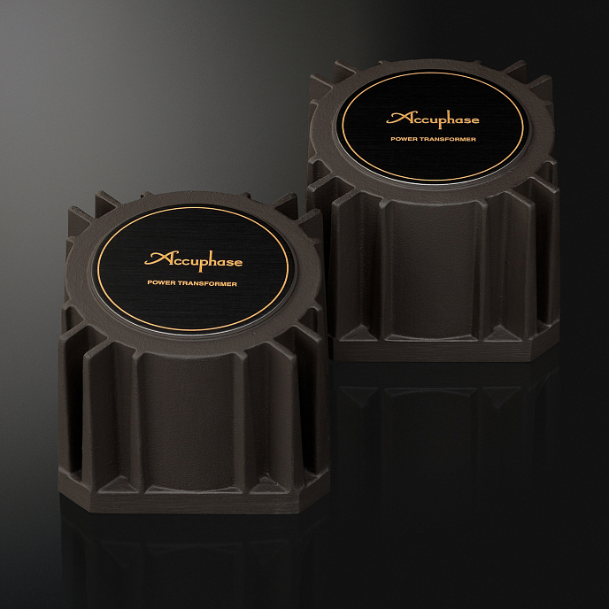 ЦАП Accuphase DC-1000 Gold - рис.13