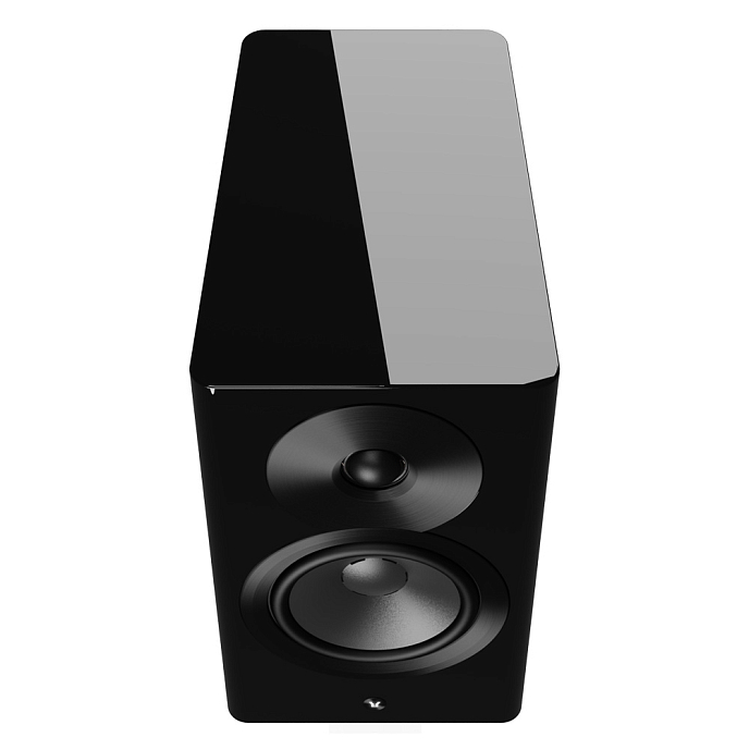 Полочная акустика Dynaudio Focus 10 Black High Gloss - рис.6