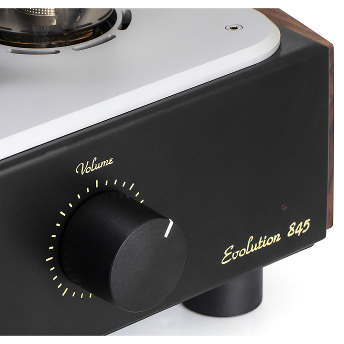 Интегральный усилитель Mastersound Evolution 845 Black Wood - рис.6