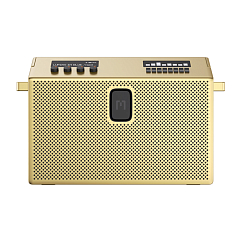 Беспроводная акустика Defunc Mondo BT Speaker Large Gold