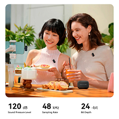 Микрофон беспроводной Hollyland Lark A1 Duo USB-C Space Gray