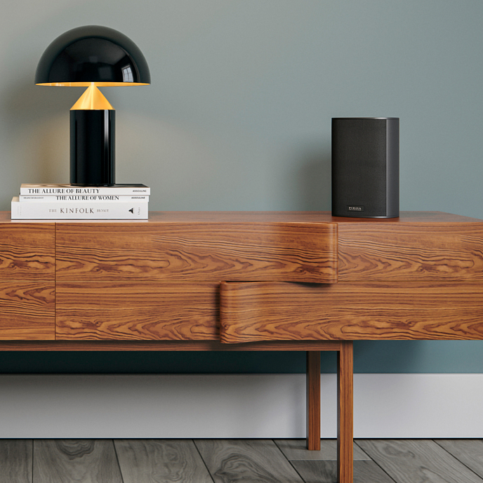 Полочная акустика Piega Ace 30 Wireless TX Black - рис.4