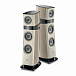 Напольная акустика Focal Sopra N2 Smoked Oak - рис.2