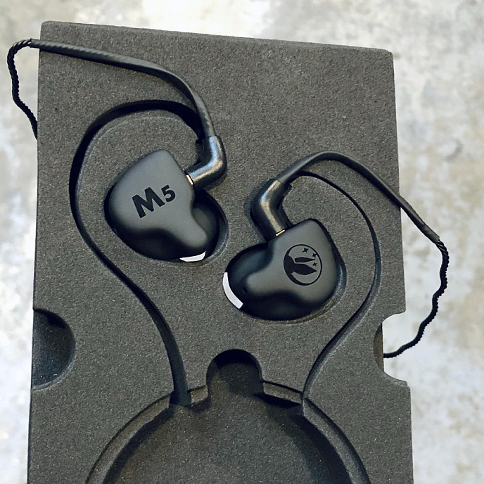 Кастомные наушники FiR Audio M5 Custom Colorless - рис.16