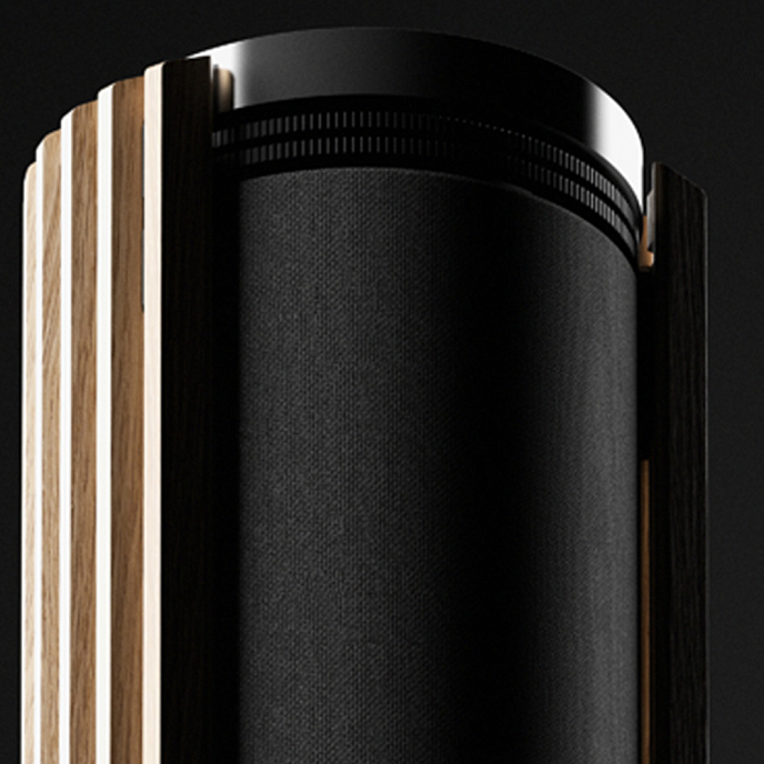 Напольная акустика Bang & Olufsen Beolab 28 with Gold Tone/Dark Oak - рис.8