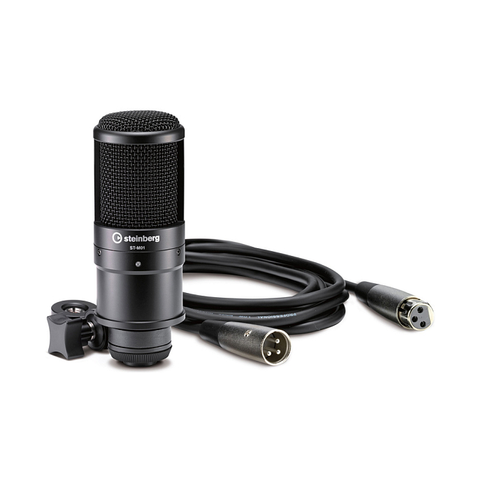 Аудиоинтерфейс Steinberg UR22C Recording Pack - рис.3