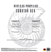 Виниловая пластинка Nautilus Pompilius - Золотой Век LP - рис.1