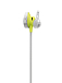 Беспроводные наушники Bose SoundSport Wireless Citron - рис.1