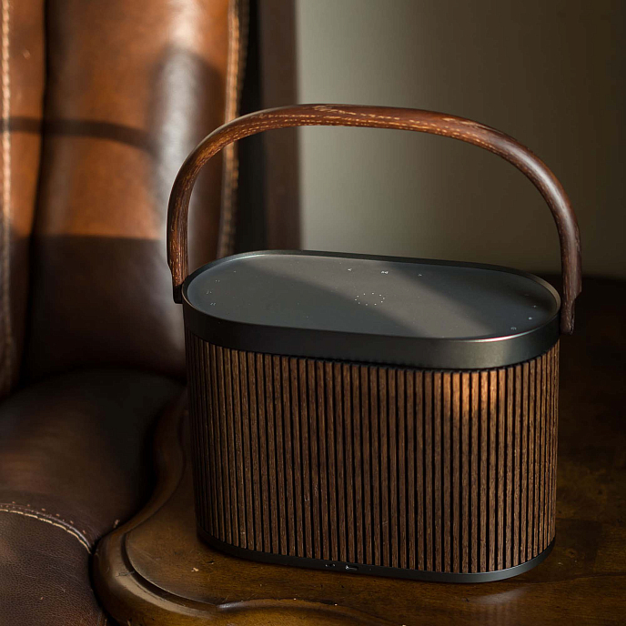 Портативная колонка Bang & Olufsen Beosound A5 Dark Oak - рис.19