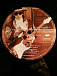 Виниловая пластинка Stevie Ray Vaughan And Double Trouble - Live At Carnegie Hall - рис.1