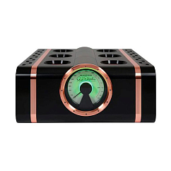 Усилитель мощности Dan DAgostino Relentless EPIC 1600 Black