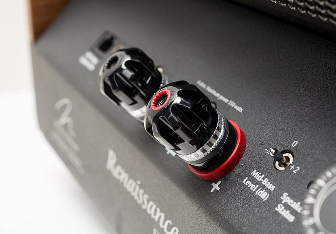 Напольная акустика Martin Logan Renaissance ESL 15A Dark Cherry - рис.8