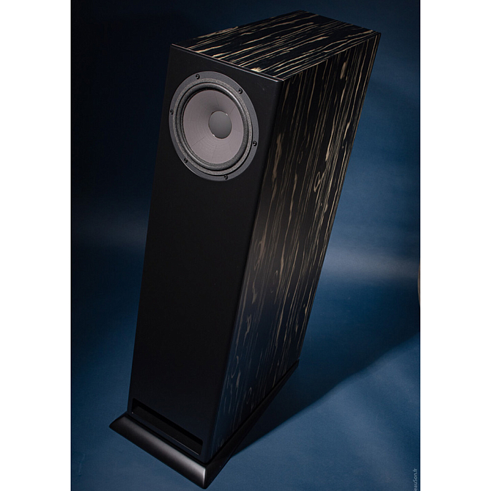 Напольная акустика Davis Acoustics MV One Master Ebony - рис.9