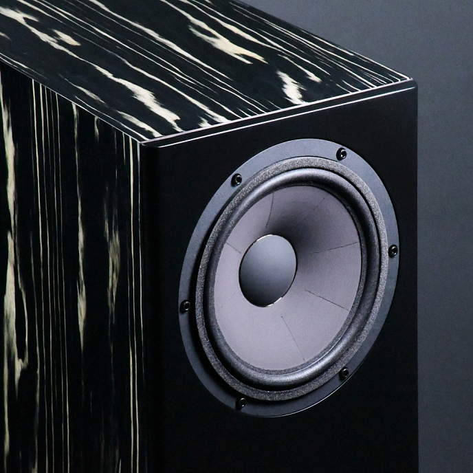 Напольная акустика Davis Acoustics MV One Master Ebony - рис.3