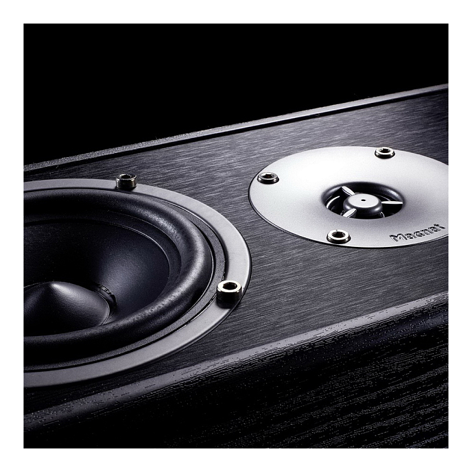 Центральный канал Magnat Monitor S12 C Black - рис.3