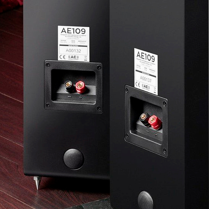 Напольная акустика Acoustic Energy AE109 Satin Black - рис.3