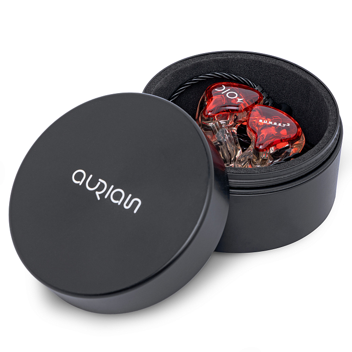 IEM наушники Aurian Sunset 2 Custom - рис.3