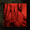 Rachika Nayar - Our Hands Against The Dusk - LP