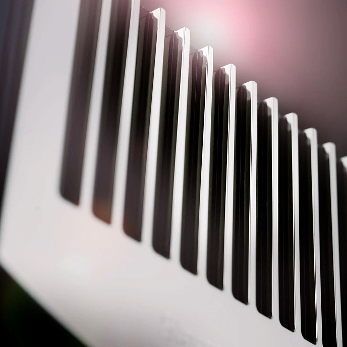 Усилитель мощности MBL N21 Stereo Power Amplifier Piano Black Gold - рис.6