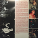 Виниловая пластинка Red Hot Chili Peppers - Greatest Hits 2LP - рис.1