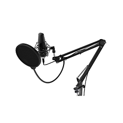 Микрофон для стриминга и игр Ritmix RDM-169 USB Black