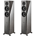 Напольная акустика Dynaudio Focus 30 XD Grey Oak High Gloss - рис.0 Напольная акустика Dynaudio Focus 30 XD Grey Oak High Gloss - рис.0