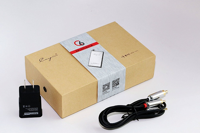 Усилитель для наушников с ЦАП Cayin C6 Silver - рис.10