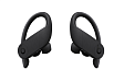 Беспроводные наушники Beats Powerbeats Pro Black - рис.2