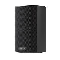 Полочная акустика Piega Ace 30 Wireless RX Black