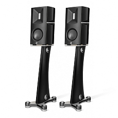 Полочная акустика Borresen T1 Silver Supreme Edition Black