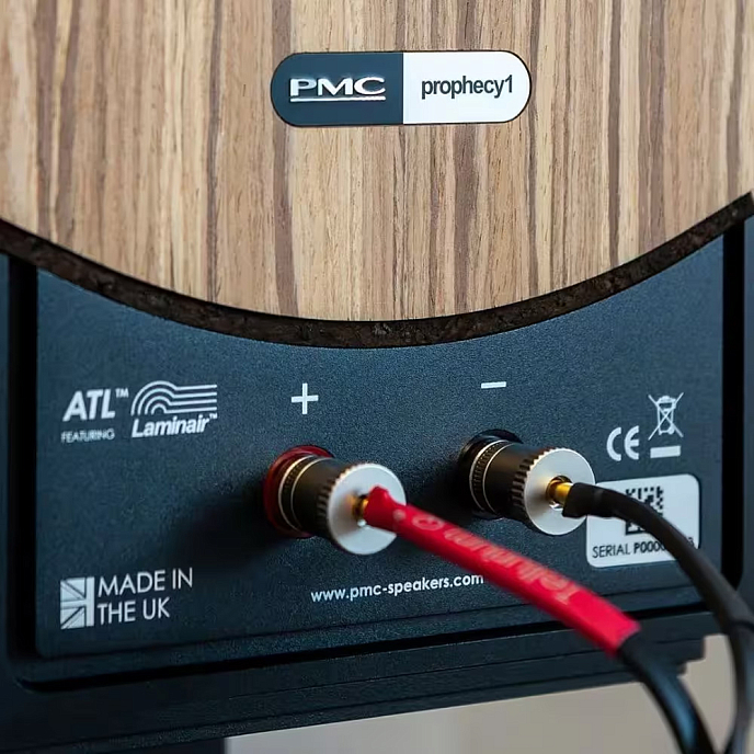 Полочная акустика PMC Prophecy 1 Blackened Walnut - рис.4
