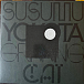 Бокс-сет Susumu Yokota – Volume 1 - Albums 1-7 (Skintone Edition, Box-set) LP - рис.29