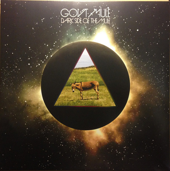 Пластинка Gov't Mule - Dark Side Of The Mule - рис.0