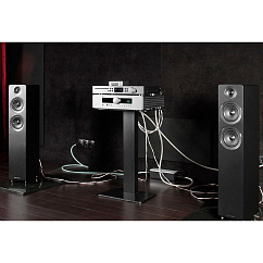 Напольная акустика Acoustic Energy AE109 Satin Black