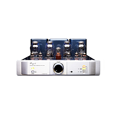 Интегральный усилитель Cayin A-300P MK2 Silver