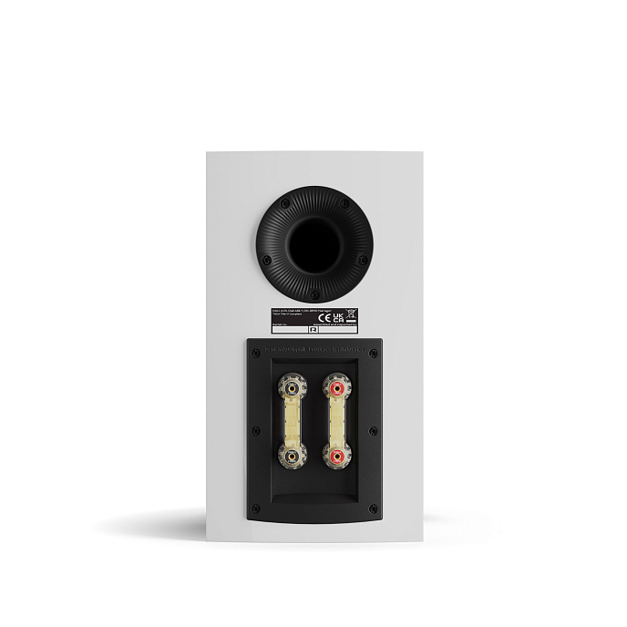 Полочная акустика Dali Rubikore 2 White High Gloss - рис.6