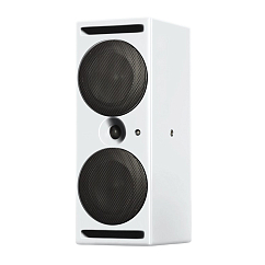 Студийный монитор PSI Audio A214-Ms White