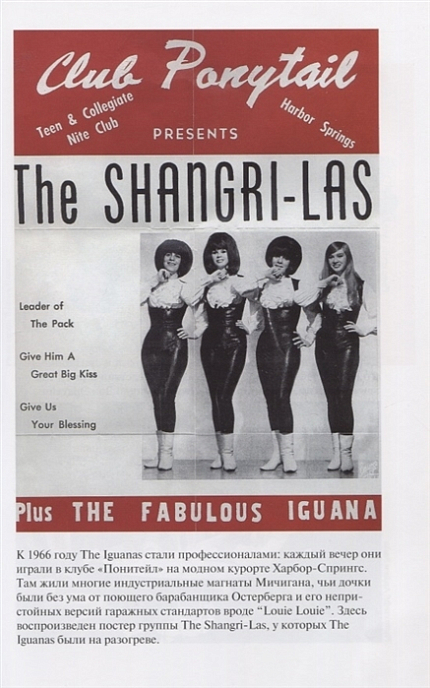 Книга Пол Трынка. Игги Поп. Вскройся в кровь - рис.5