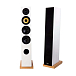 Напольная акустика Davis Acoustics Courbet N 5 White Gloss - рис.3 Напольная акустика Davis Acoustics Courbet N 5 White Gloss - рис.3