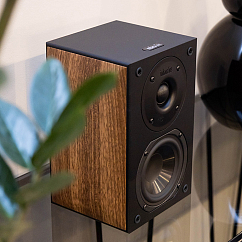 Полочная акустика Indiana Line Nota 240 XL Walnut