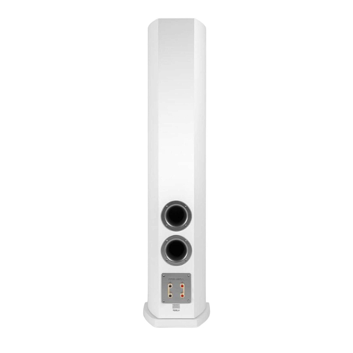 Напольная акустика Premiera DS-631 white 3х-полосная напольная акустика (пара) (SN 4607940904359)_Уценка - рис.3