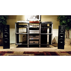 Напольная акустика Bryston Middle T Black Ash