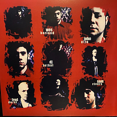 Виниловая пластинка Limp Bizkit – Significant Other 2LP