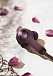 Беспроводные наушники Bang & Olufsen Beoplay E6 Dark plum - рис.7