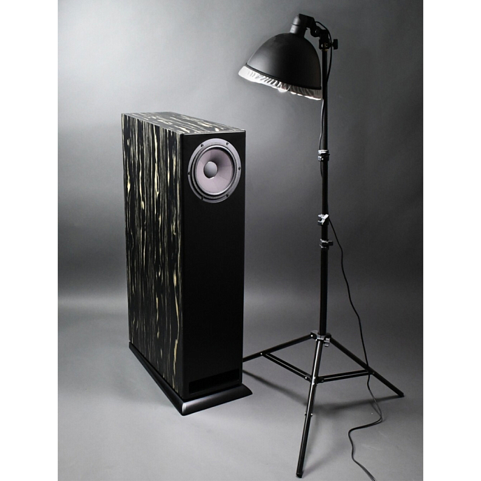 Напольная акустика Davis Acoustics MV One Master Ebony - рис.5