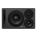 Студийный монитор Dynaudio Core 47 R Black - рис.0